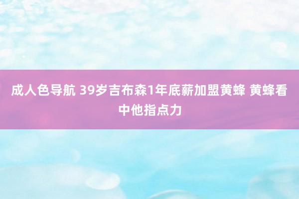成人色导航 39岁吉布森1年底薪加盟黄蜂 黄蜂看中他指点力