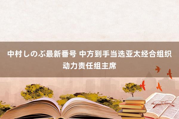 中村しのぶ最新番号 中方到手当选亚太经合组织动力责任组主席