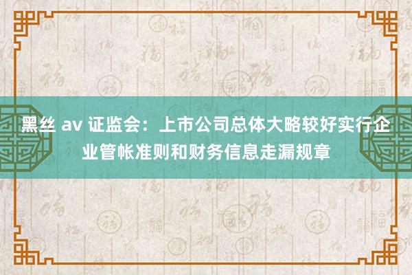 黑丝 av 证监会：上市公司总体大略较好实行企业管帐准则和财务信息走漏规章