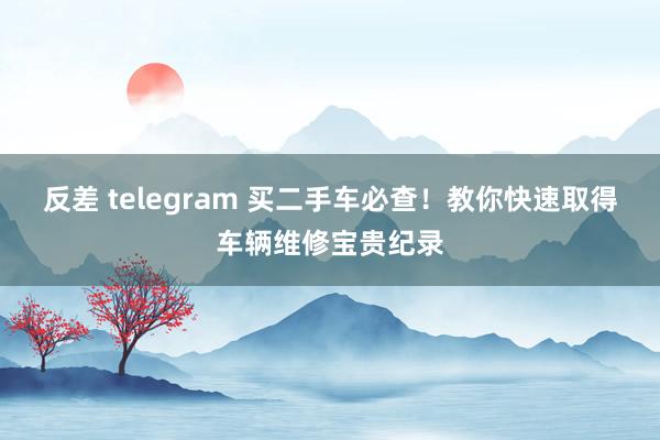 反差 telegram 买二手车必查！教你快速取得车辆维修宝贵纪录