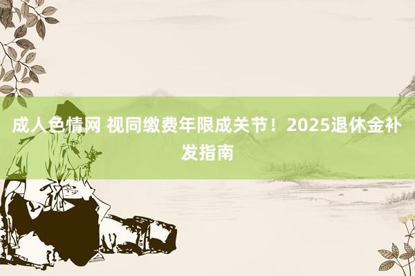 成人色情网 视同缴费年限成关节！2025退休金补发指南