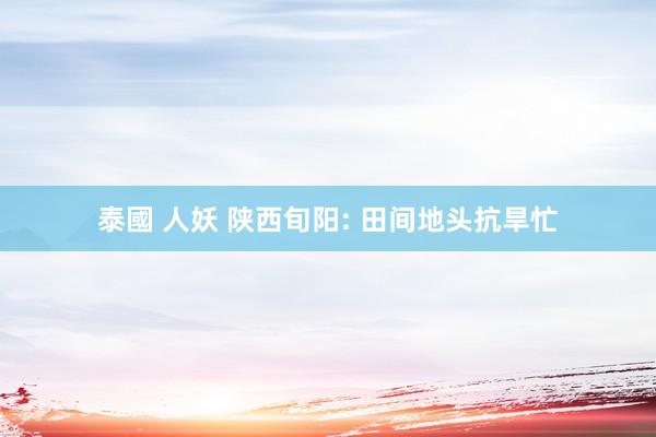 泰國 人妖 陕西旬阳: 田间地头抗旱忙