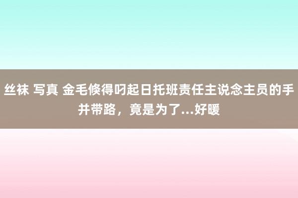丝袜 写真 金毛倏得叼起日托班责任主说念主员的手并带路，竟是为了...好暖